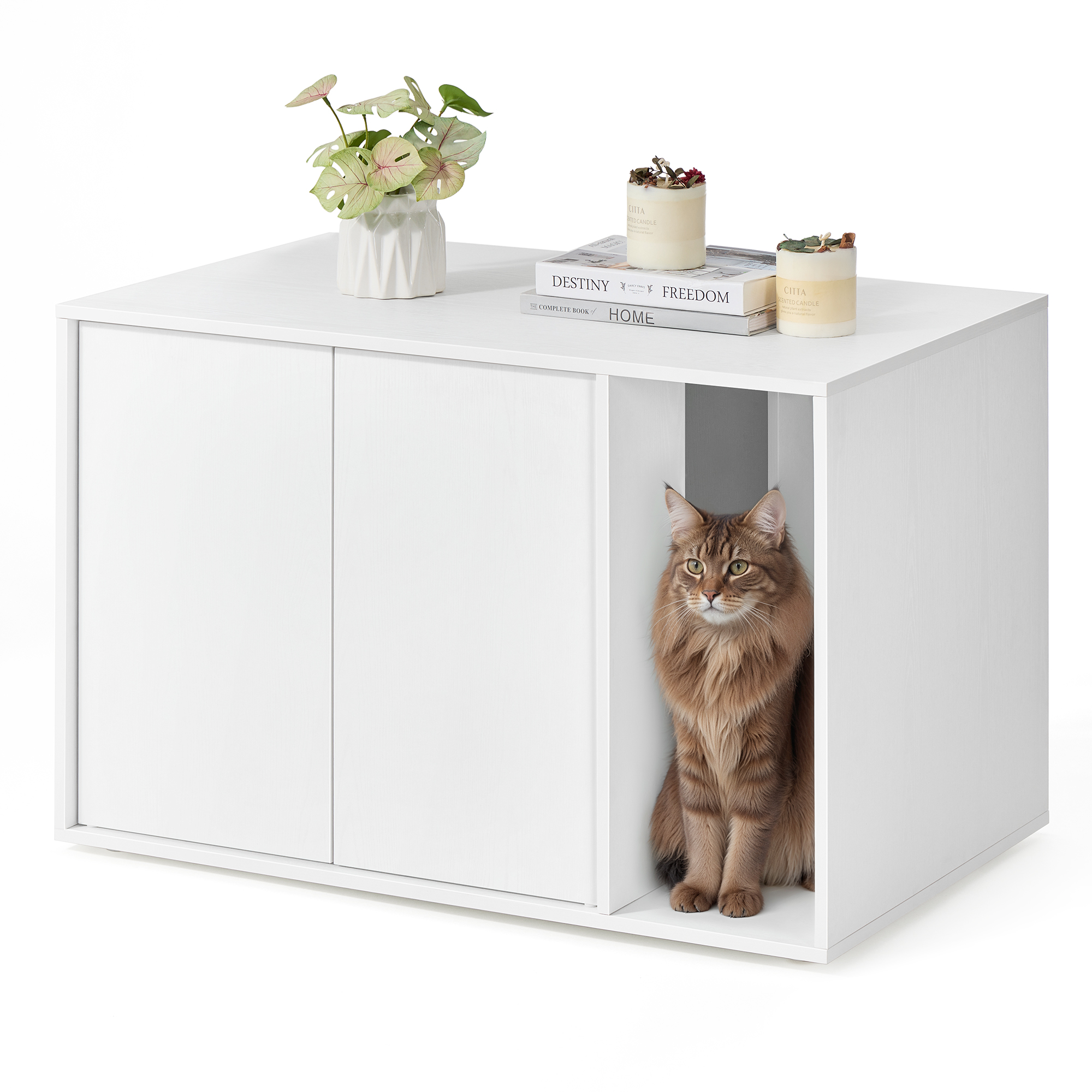 Product View 2