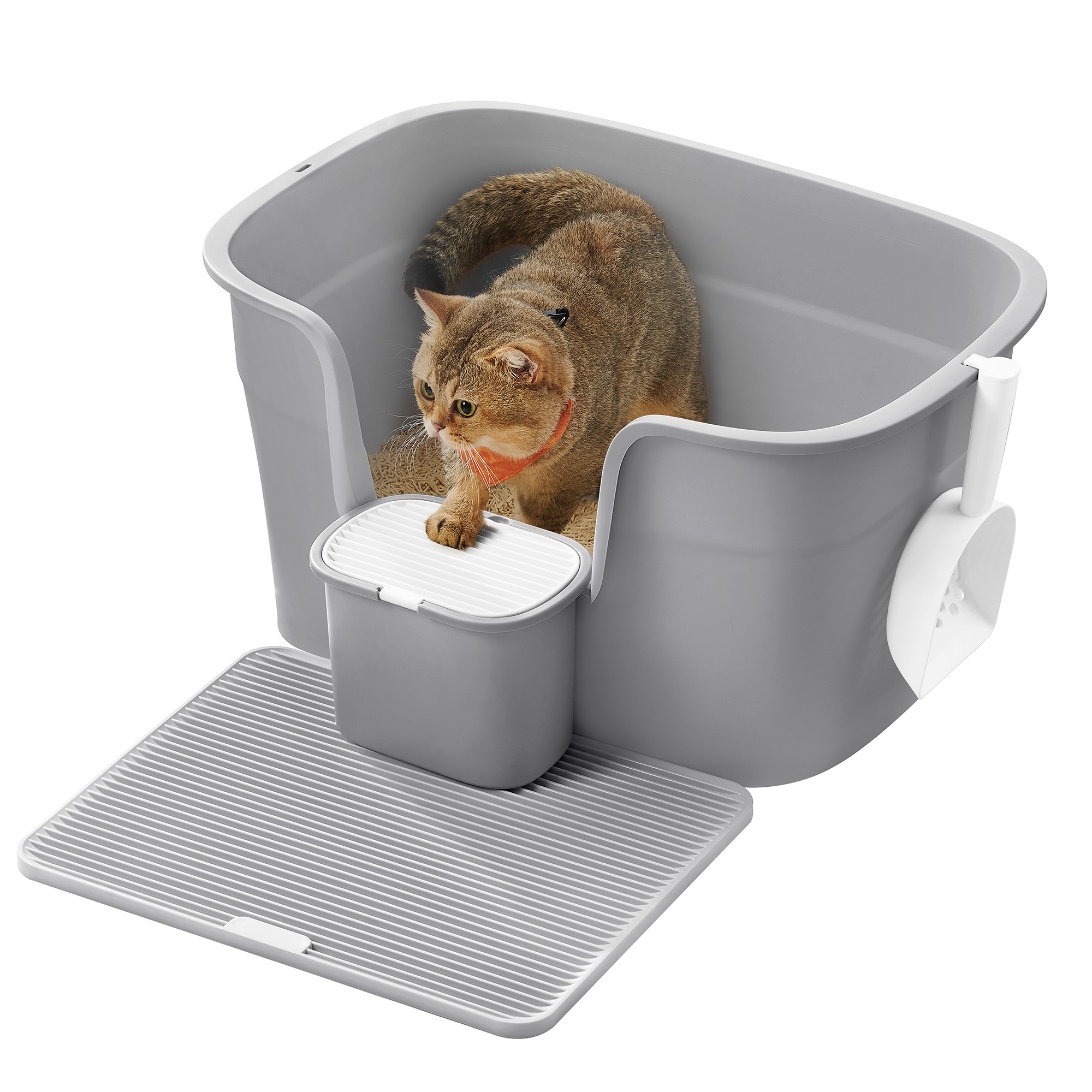Product View 2
