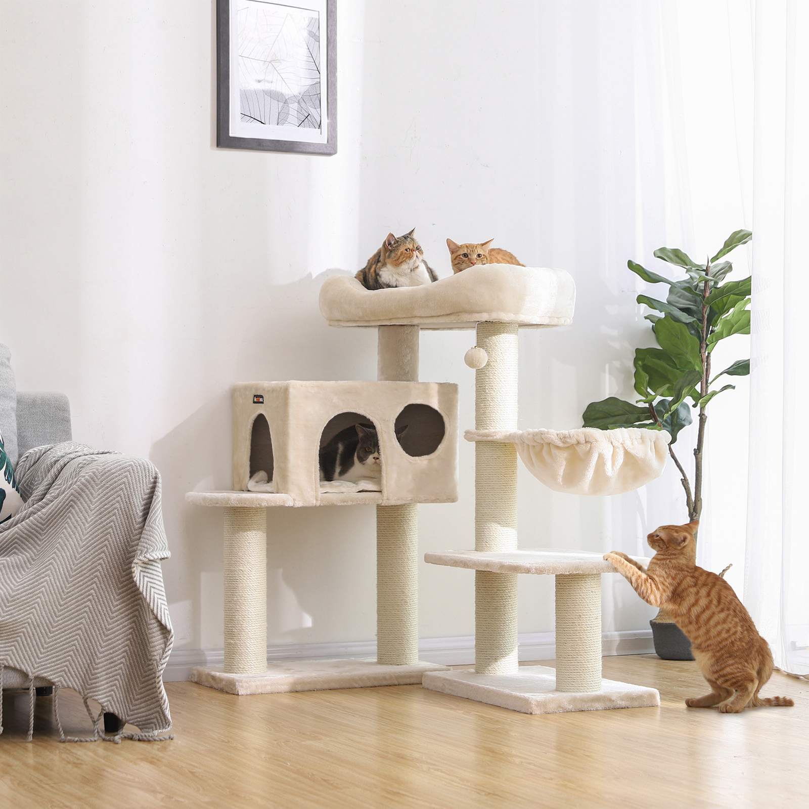 Product View 2
