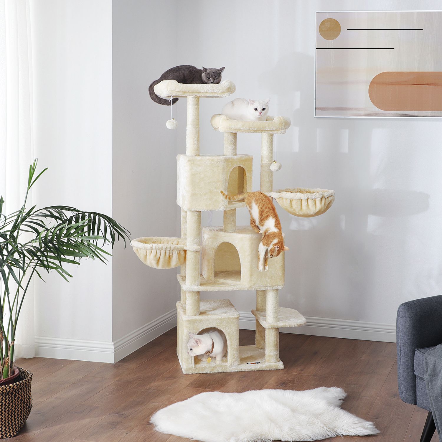 Product View 2