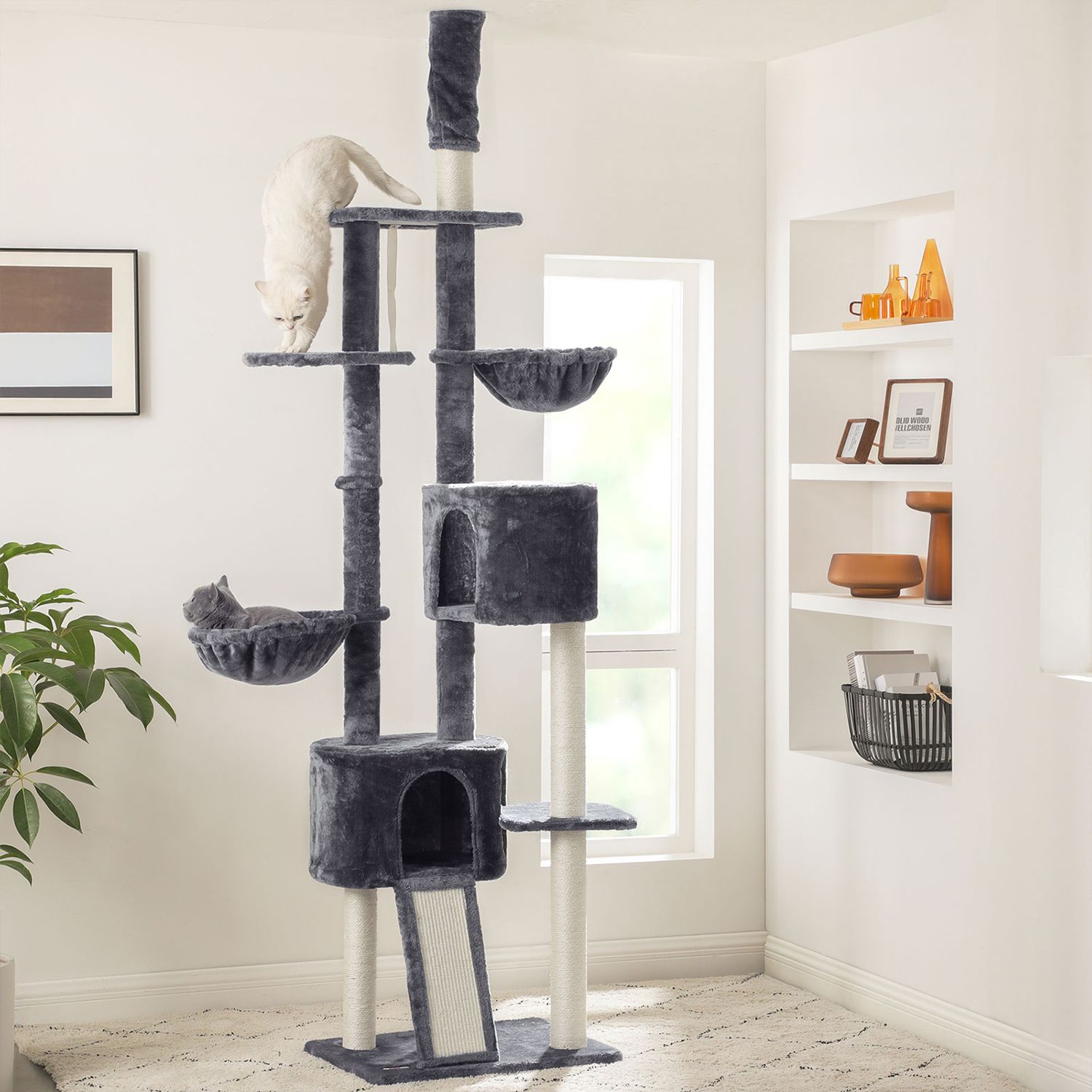 Product View 2