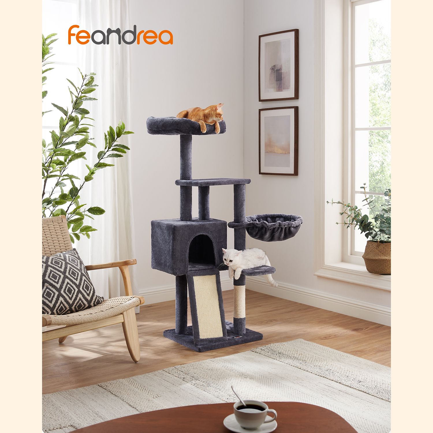 Product View 1