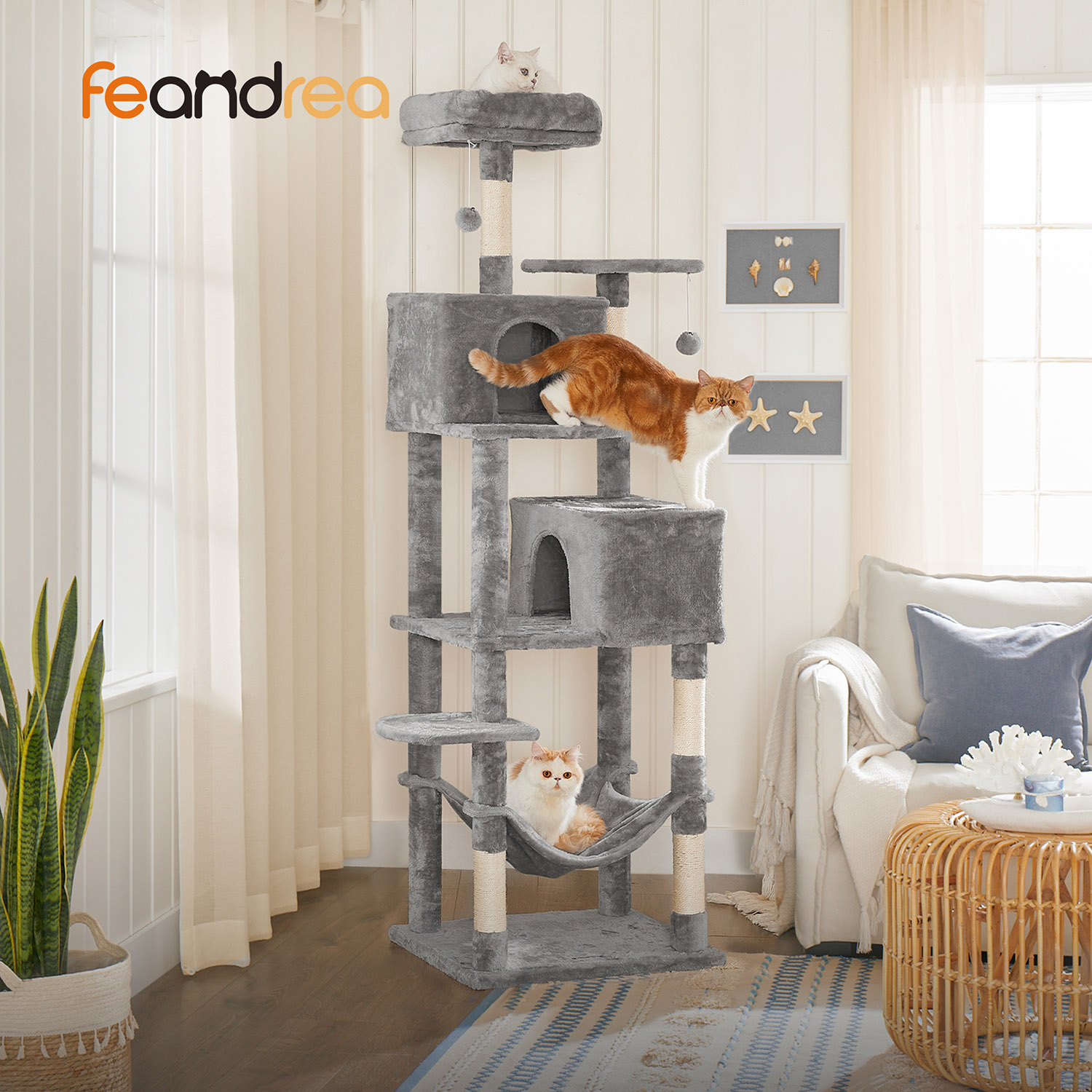 Product View 1