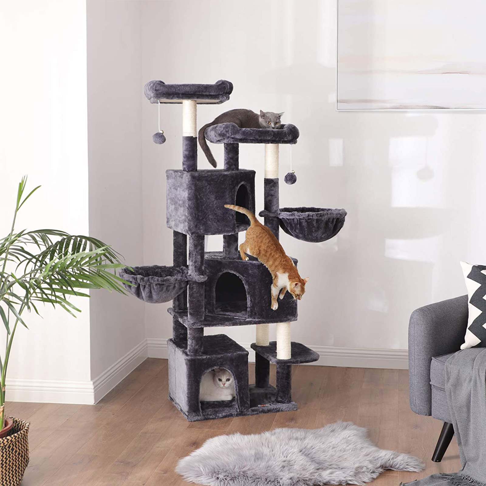Product View 2