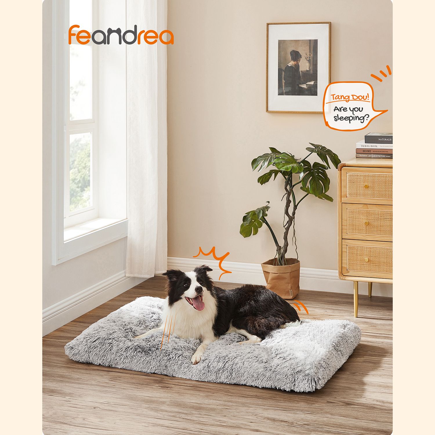 Product View 1