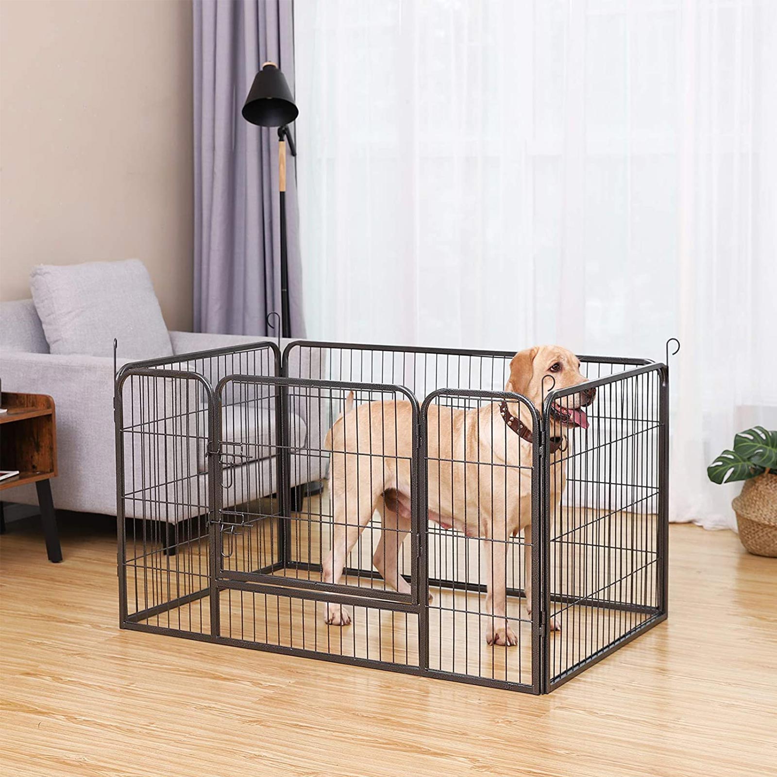 Product View 2