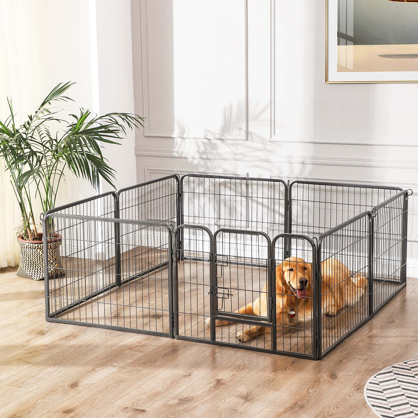 Product View 2